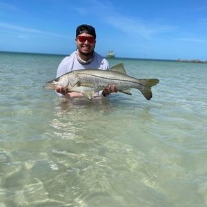 Meet your Posher, Randy